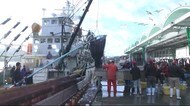サンマ漁が最盛期も高値続く 大船渡市で約300t水揚げ<岩手県>