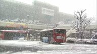 真冬並みの寒さに逆戻り　都心でも雪…23区に積雪の恐れ　栃木県に大雪警報　宇都宮市は3月に21年ぶり積雪12cm