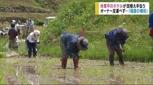 「棚田百選」にもコロナの影 全国の“オーナー”足運べず... 休業中のホテルが田植え手伝う