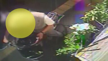 「ユリしか見えない」常習ユリ泥棒逮捕 “咲き具合”確認で2回下見まで 理由は「きれいだから」