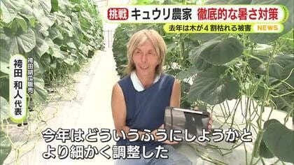 キュウリ農家　徹底的な暑さ対策　去年は木が4割枯れる被害　今夏も40℃超の酷暑　生産者「データ元に水や肥料を調整」　ていねいな作業が実りを支える