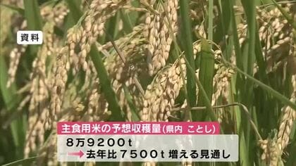主食用米の収穫量　2024年よりも増加の見通し　九州農政局「天候に恵まれ順調に生育」大分
