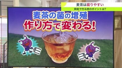 「麦茶」実は腐りやすい…作り方で細菌の増殖に違い　煮出し・水出しか【北海道発】