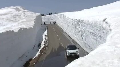 八幡平アスピーテライン開通　最高地点7.1m「雪の回廊」　見頃はＧＷごろまで　岩手県