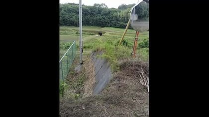 いわき市南部でクマの姿を初めて確認　箱わな設置で注意呼びかける＜福島県・いわき市＞