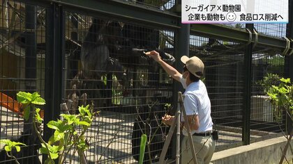 ビュッフェレストランで余った食材を動物のエサに 企業も動物園もうれしい食品ロス削減プロジェクト【宮崎発】