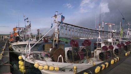 【小型船スルメイカ釣り漁】漁業枠調整で3週間ぶりに再開認められるも…しけで午前の出漁は見送り…一方、特例で認められたヤリイカ漁は早朝に水揚げ〈北海道函館市〉