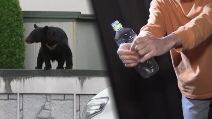「空のペットボトル」が“熊対策”に？森にない「ペコペコ音」で撃退か　過去最悪12人死亡の“熊災害”警察官がライフル銃で駆除へ