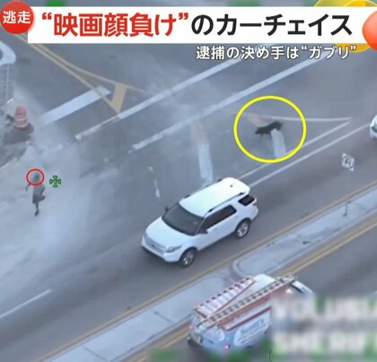 “映画顔負け”10分間のカーチェイス　逆送で逃走…停車中の車に衝突も　逮捕の決め手は“ガブッ！”警察犬にかまれ御用　アメリカ・フロリダ州