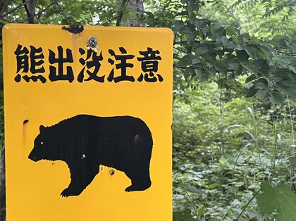 【速報】住宅地に現れた体長140cmのクマを猟銃で駆除　「緊急銃猟」発砲に至ったのは全国で初めて