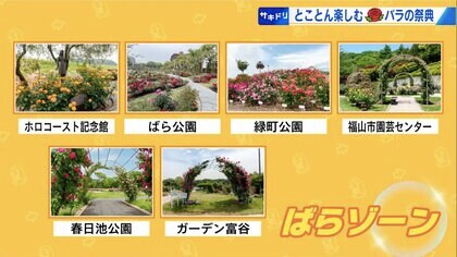 ご当地ベア　福山薔薇　ローズ　Ｌサイズ　ぬいぐるみ　山陽 福山SA限定　希少　旧 ご当地ベア 福山薔薇 ローズ Lサイズ ぬいぐるみ 山陽 福山SA限定