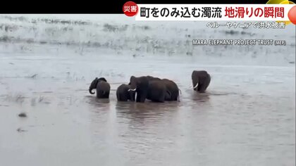 水場を守るアフリカ象超大判 全部失いました」濁流が街をのみ込む 泥だらけで荷物運び出し 大規模な