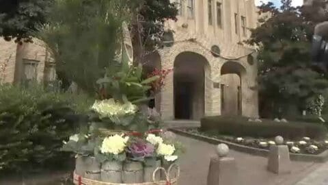 新年まで１週間切る　鹿児島市役所にしめ縄と門松