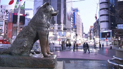 渋谷「ハチ公像」周辺封鎖…元日午前1時まで　混雑緩和へ駅前イベント中止し警備強化　コンビニなどに夜間の酒類販売自粛呼びかけ