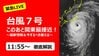 【緊急LIVE】 “最強”台風７号このあと関東最接近！ 都心大荒れ… 最新情報＆今するべき備えを徹底解説！