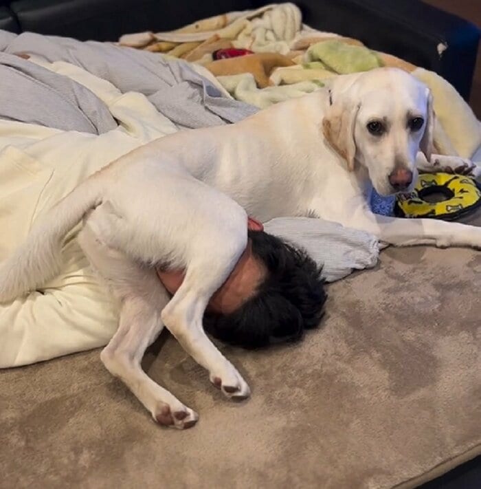 旦那さんの顔を後ろ足で挟む!
