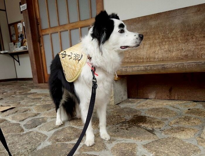 GWにお出かけしてチヤホヤされたという