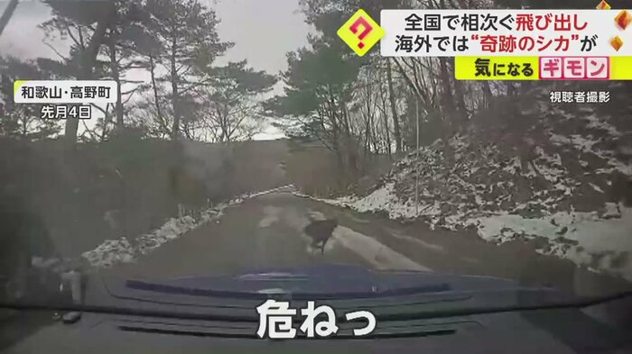 急ブレーキ!