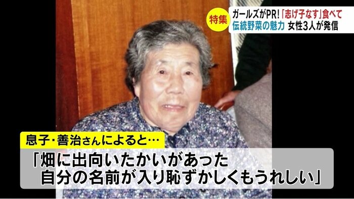 提供写真