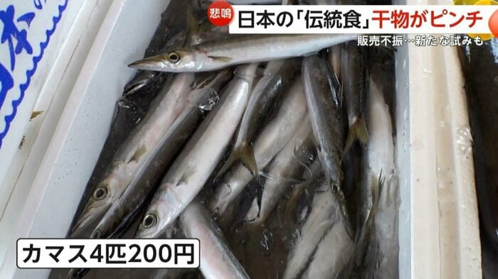 カマスが4匹200円