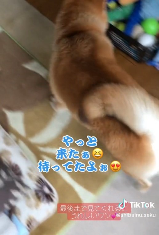 大急ぎで玄関に向かう朔くん