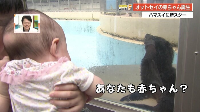 兄のせなくんに抱きかかえられてバブックーと触れ合うななちゃん(左)