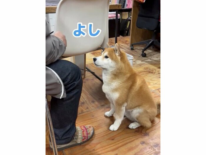 提供:エイトデザイン