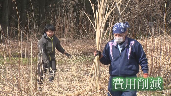 茅を集める保存会メンバー