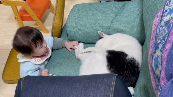 寝ている米朝くんに「こっそり」触る息子さん