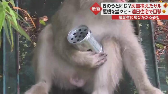 灰皿か?