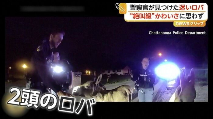 発見されたロバに笑顔で対応する警察官たち