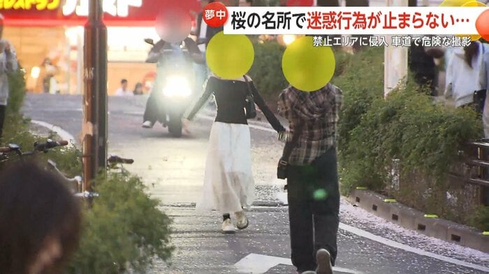 路上で撮影している人がクラクションを鳴らされる場面も