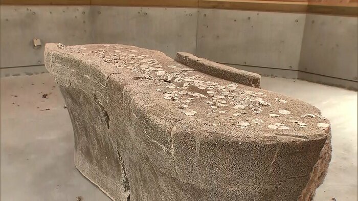 13の作品を展示