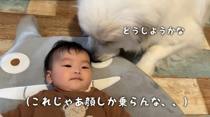 頭だけでも…