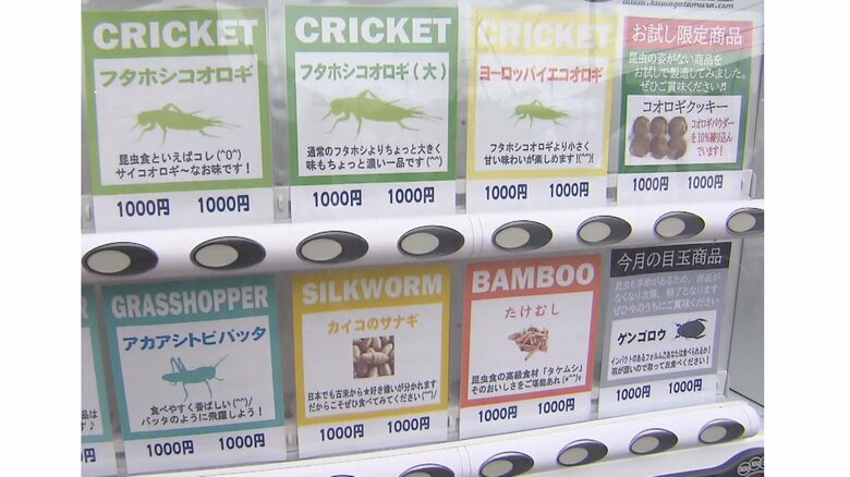 11月からは“スズメバチ”入荷予定…「昆虫食の自動販売機」が登場　コオロギ等9種類で全て1000円｜FNNプライムオンライン