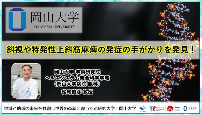 【岡山大学】斜視や特発性上斜筋麻痺の発症の手がかりを発見!