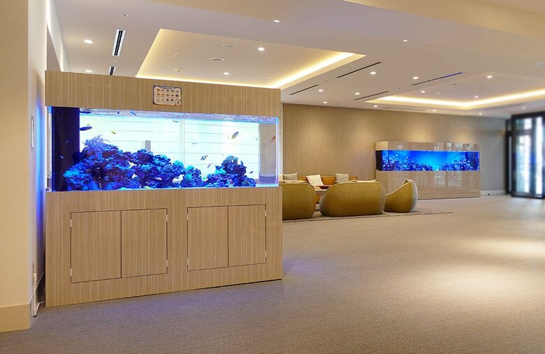 東京アクアガーデン、お客様満足度など5項目でNo.1を達成！アクアリウム業界調査結果