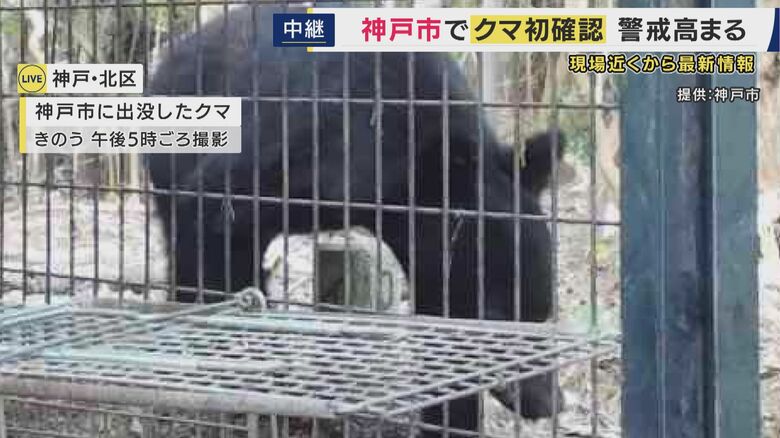【現場報告】神戸市でも初めてクマの出没が確認　JR道場駅から直線距離で500メートルほどの山中　小学校も近くに｜FNNプライムオンライン