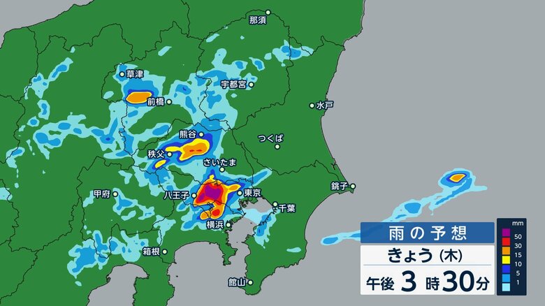 急速に複数の積乱雲が発生し東京都心に接近中　関東の広い範囲でこのあとゲリラ雷雨に注意｜FNNプライムオンライン