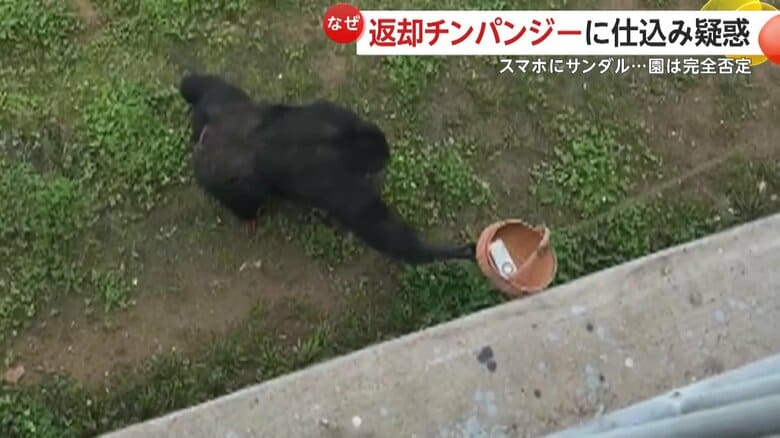 中国の動物園で“返却チンパンジー”話題に　スマホにサンダル…落とし物を戻す姿が賢すぎる！「仕込みじゃない？」飼育員は疑惑全否定｜FNNプライムオンライン