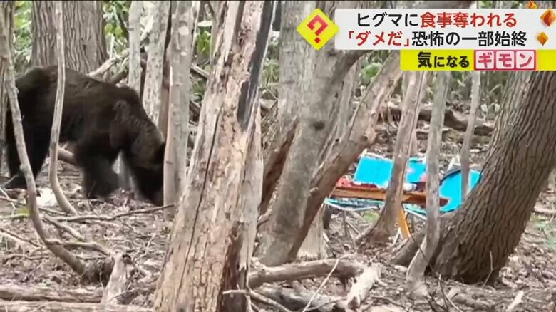 男性2人が座っていた場所にヒグマが近づく（FNN投稿サイト「ビデオPost」葉田ルコHadaRuko）