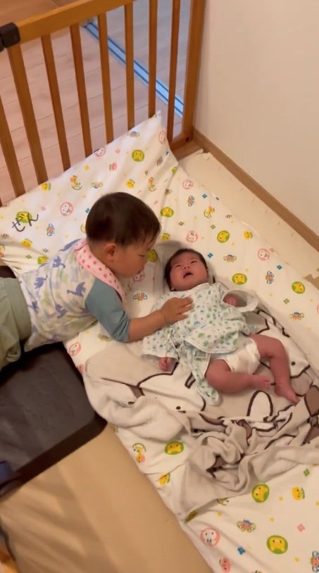 提供：＠zen_pokoさん