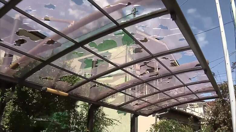 ひょうの被害の様子