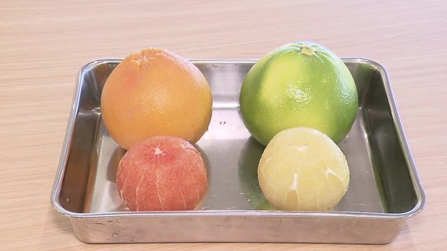 世界56か国に様々なフルーツの皮むき機を輸出