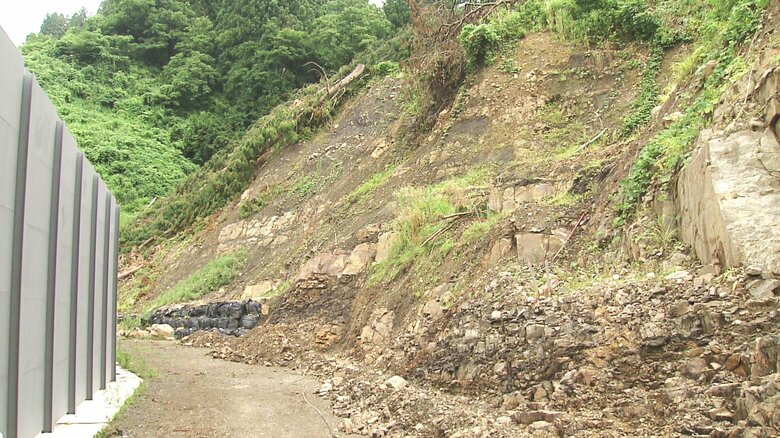 第五次発掘調査が始まった約1億2000万年前の地層