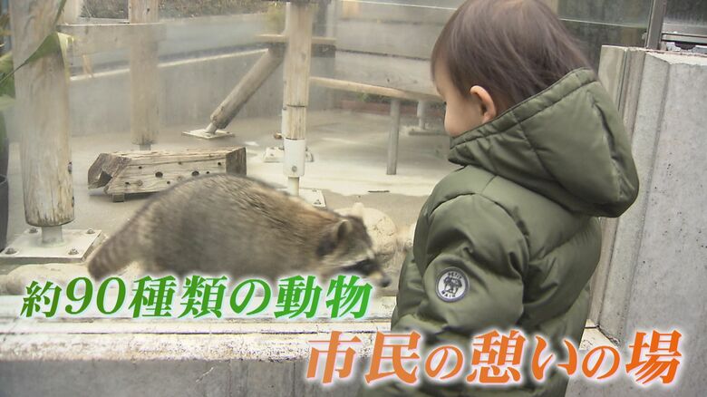 北九州市の「到津の森公園」