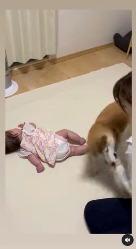 叩かないでってば！（提供：SORAさん）