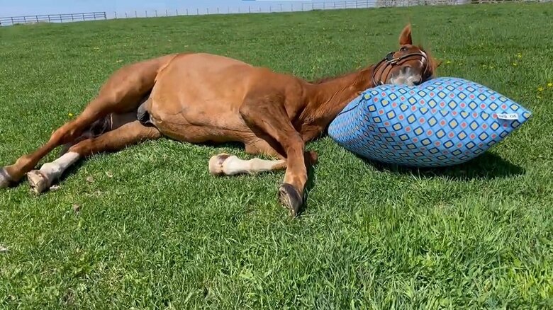 足を伸ばして…