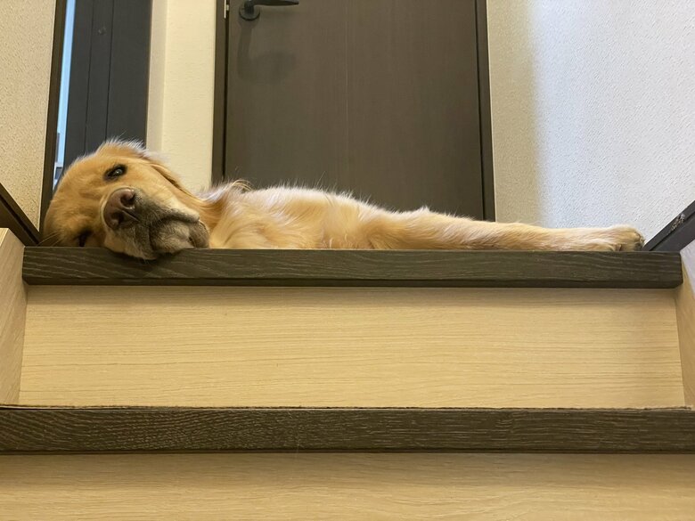 だらんとしていることもある