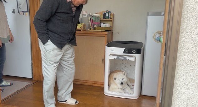 提供：しばわんこ生活さん